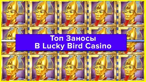 Казино lucky-bird бесплатно и без регистрации