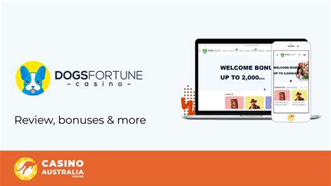 Casino dogsfortune